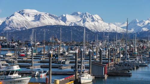 The harbor in Homer Alaska on a sunny day with snowy mountains in the background.